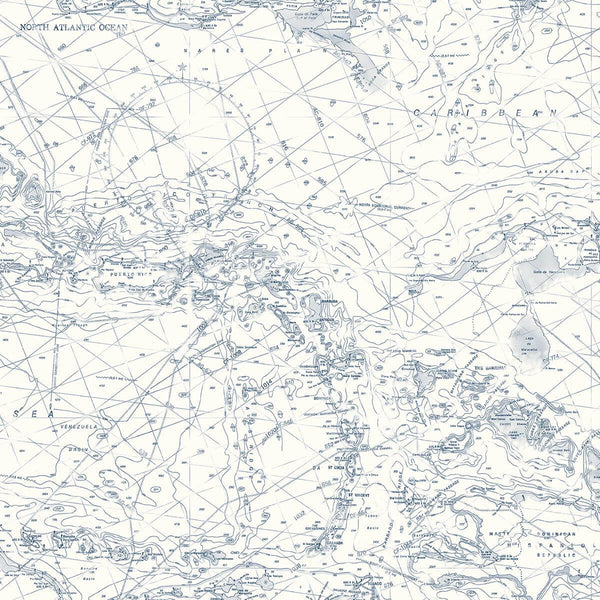 Charts, Navy Wallcoverings | Malibu Wallcovering