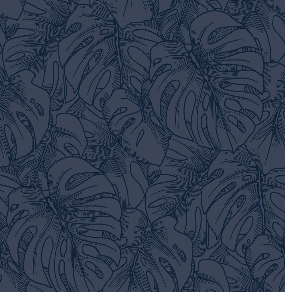 Balboa, Indigo