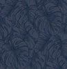 Balboa, Indigo