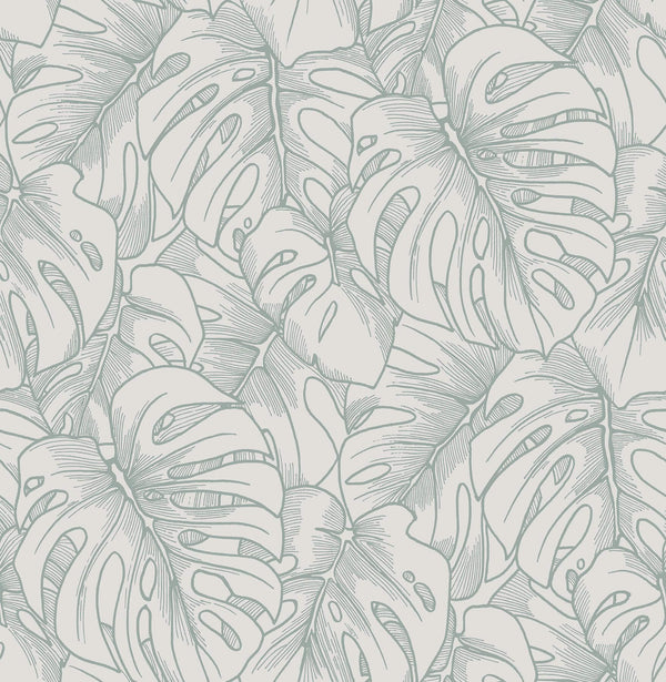 Balboa, Olive Wallcoverings | Malibu Wallcovering