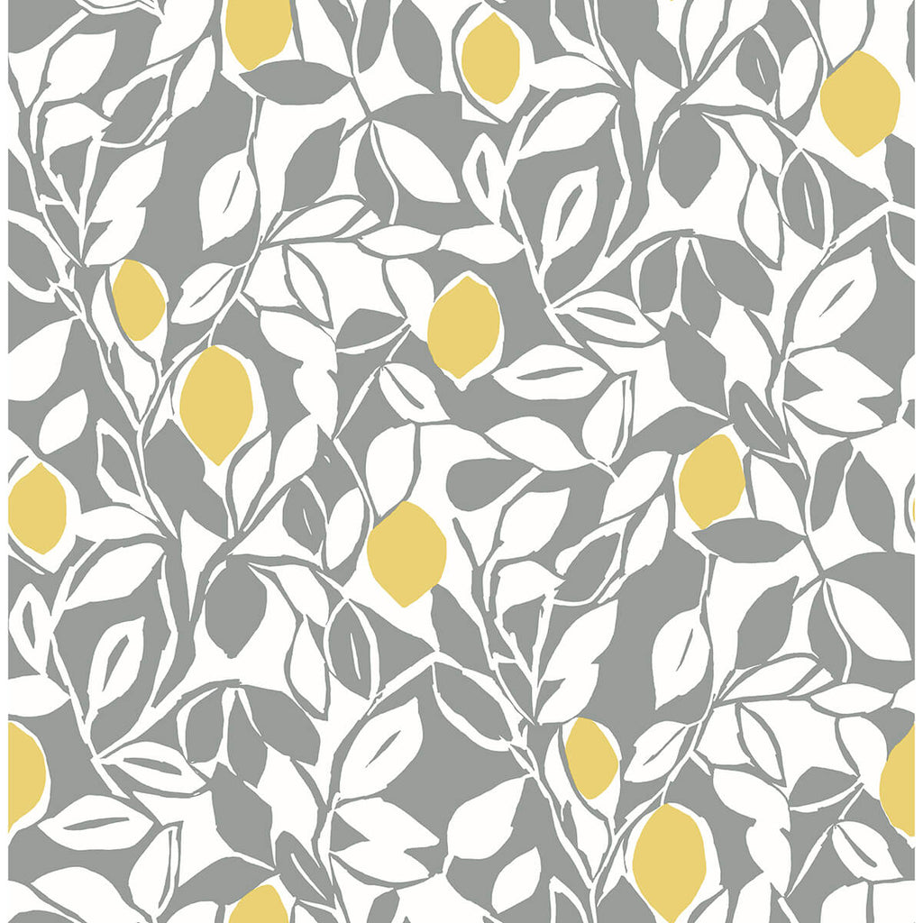 Loretto, Grey