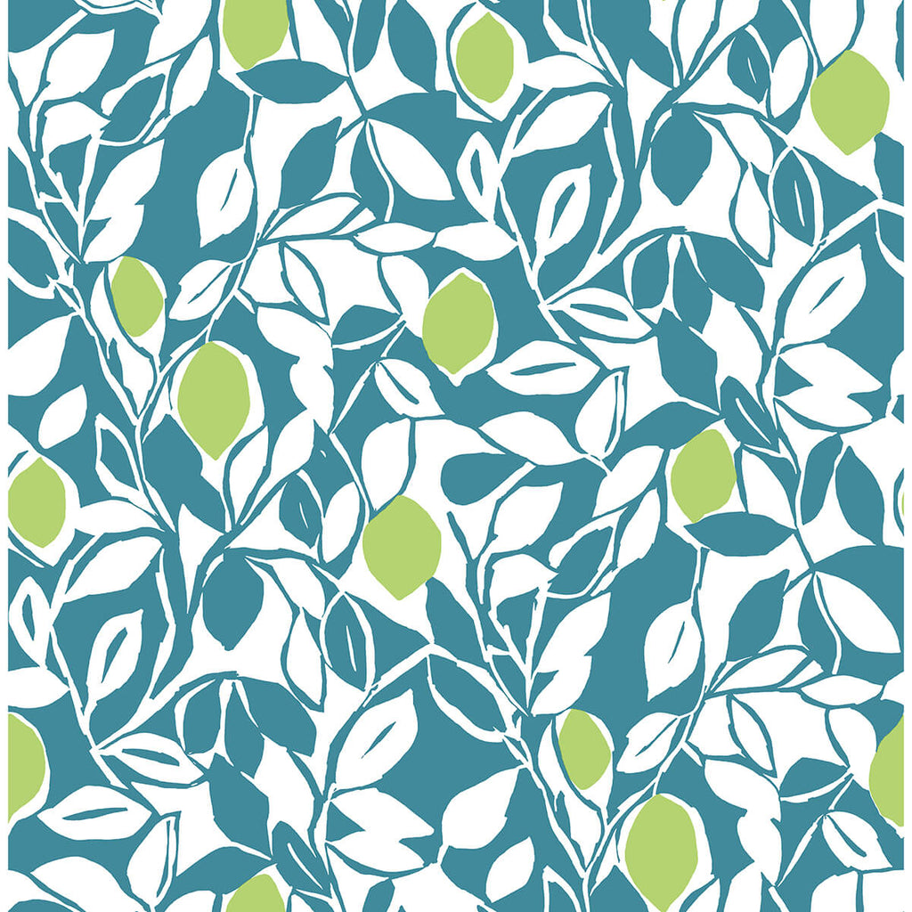 Loretto, Teal