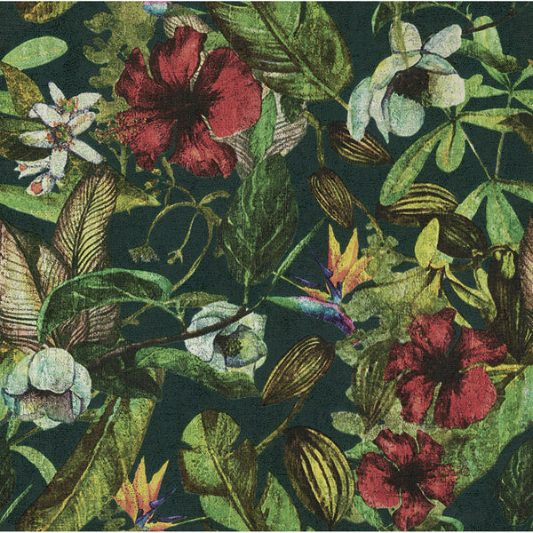 Kailano, Multicolor Wallcoverings | Malibu Wallcovering