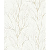 Diani, Gold Metallic