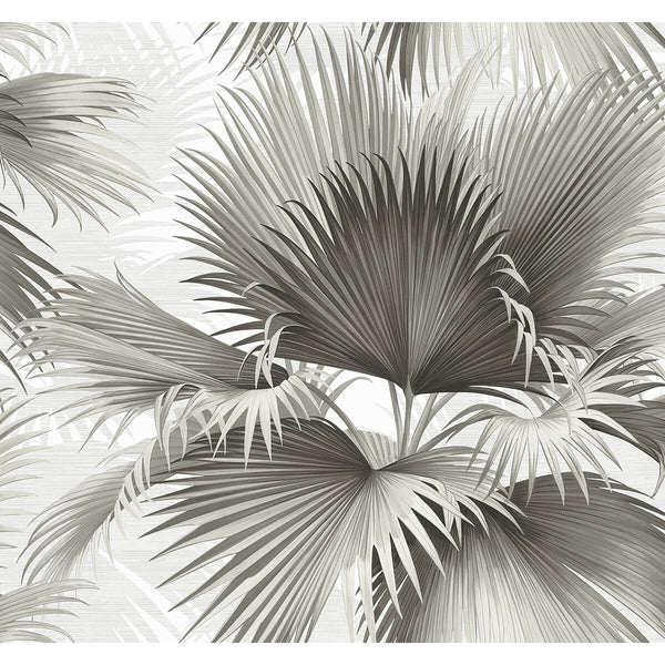 Summer Palm - Charcoal Residential Wallcovering | Jeffrey Stevens
