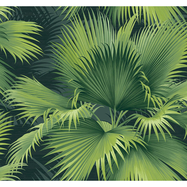 Summer Palm - Dark Green Residential Wallcovering | Jeffrey Stevens
