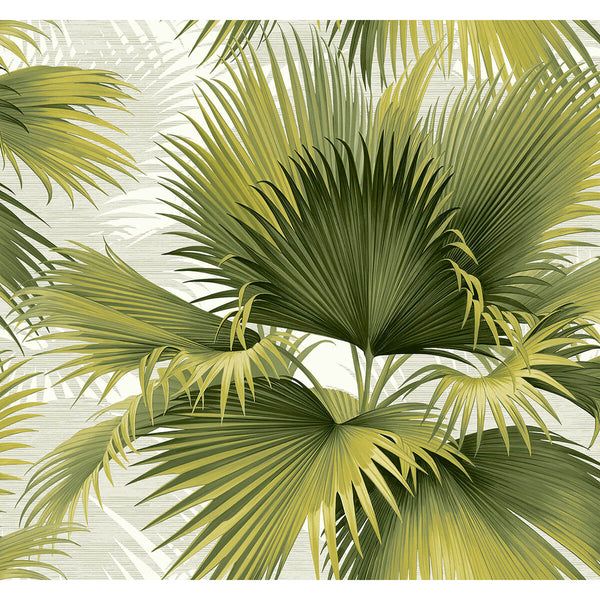 Summer Palm - Green Residential Wallcovering | Jeffrey Stevens