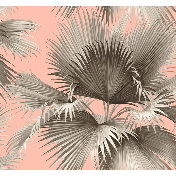Summer Palm - Blush Residential Wallcovering | Jeffrey Stevens