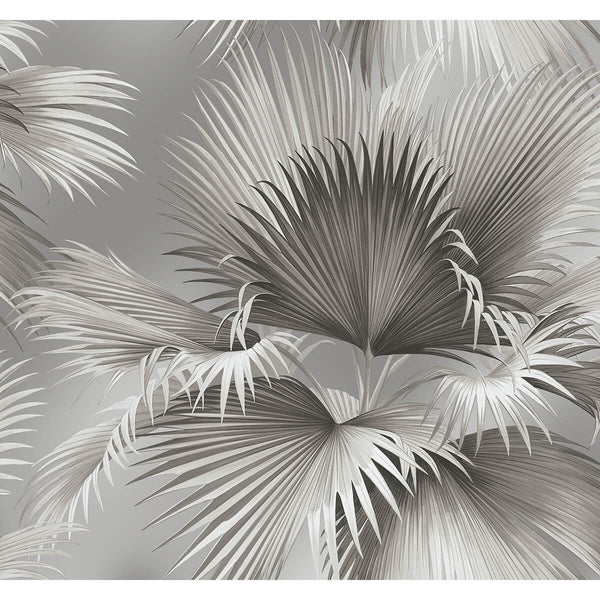 Summer Palm - Platinum Residential Wallcovering | Jeffrey Stevens