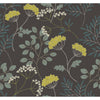 Sorrel, Black