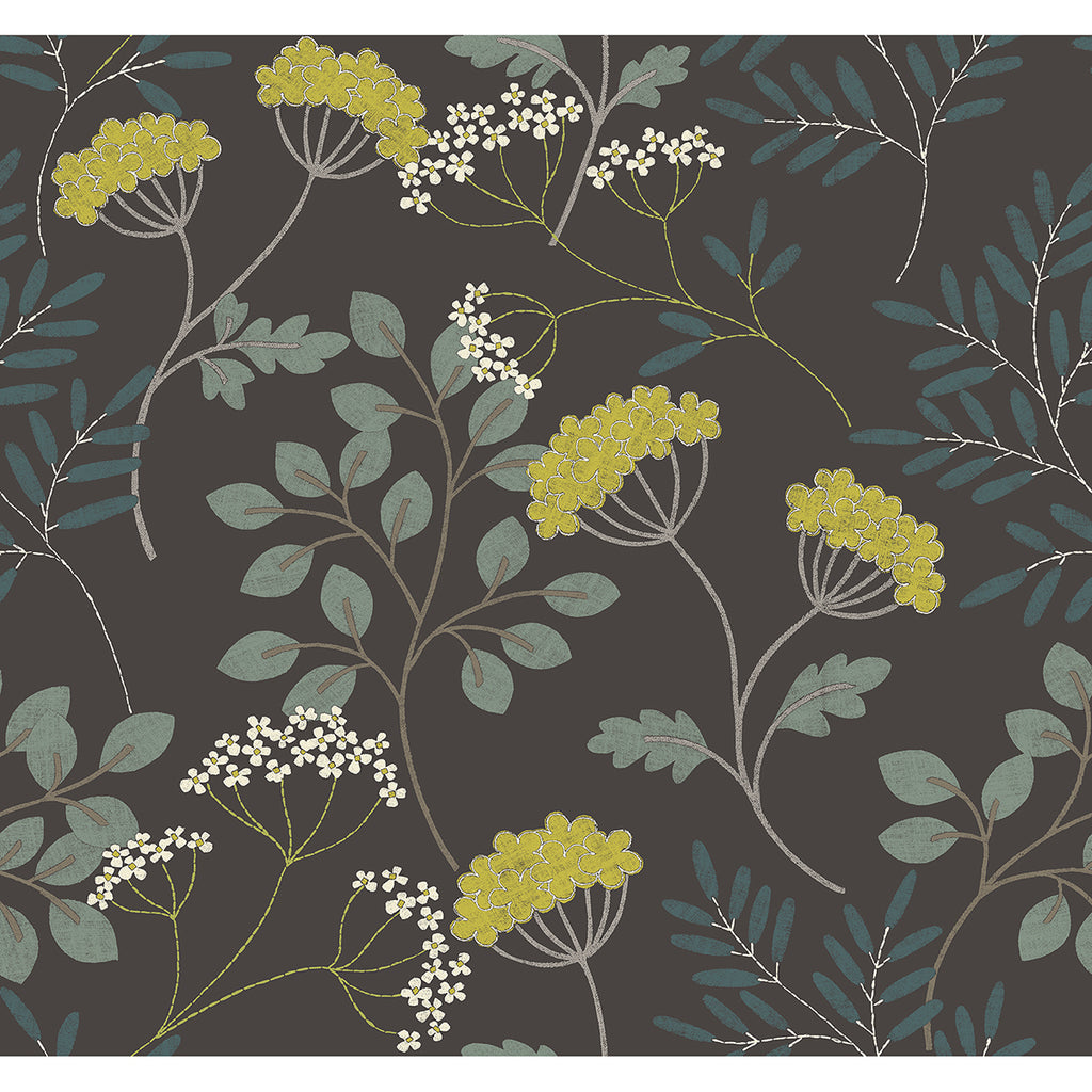 Sorrel, Black