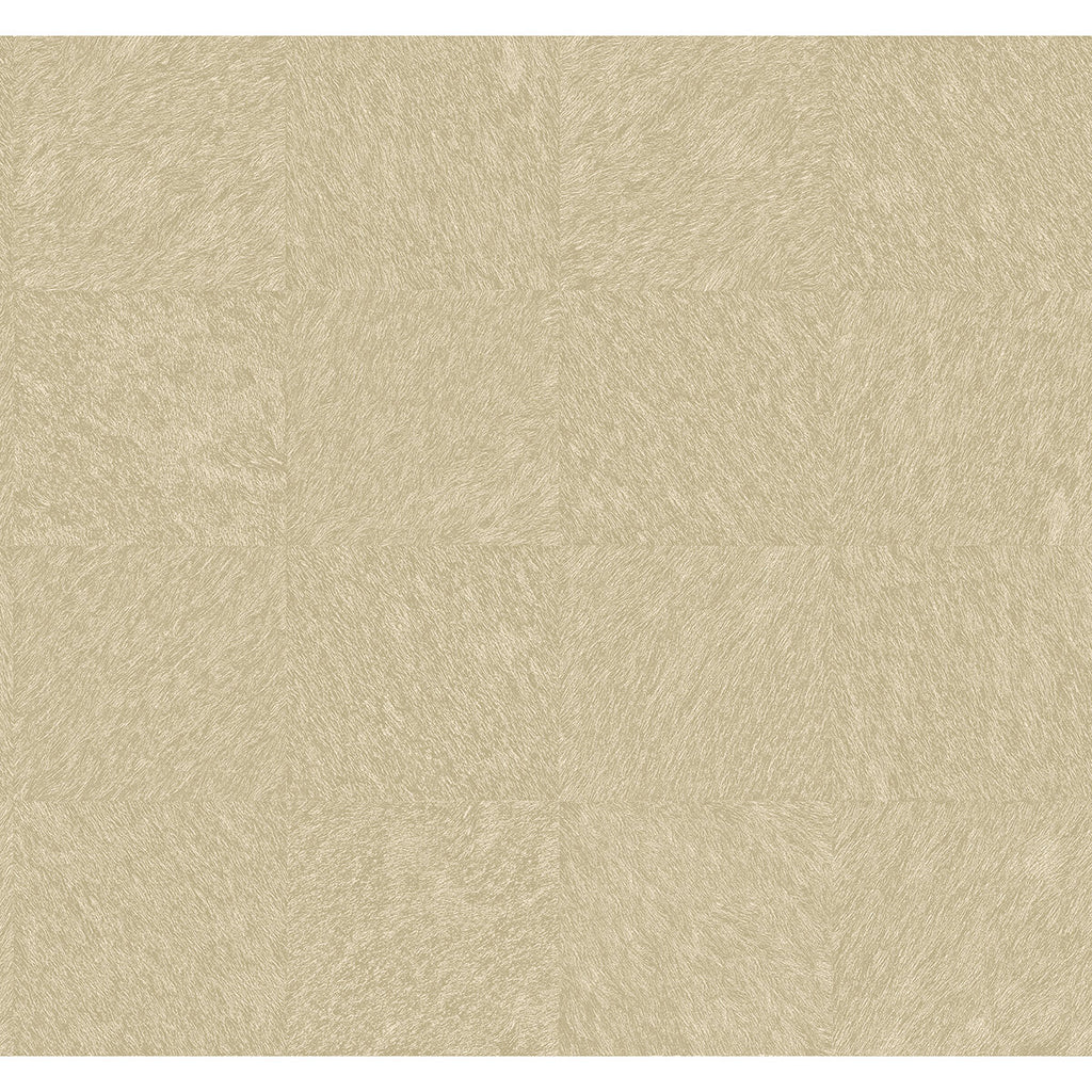 Coraline, White