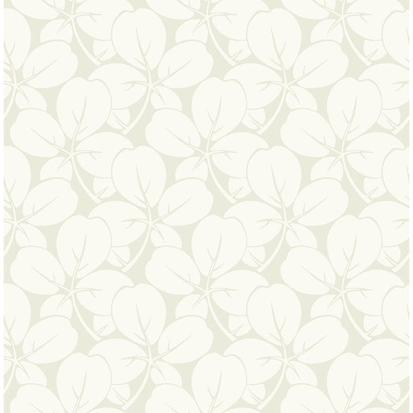 Robert - Off White Residential Wallcovering | Jeffrey Stevens