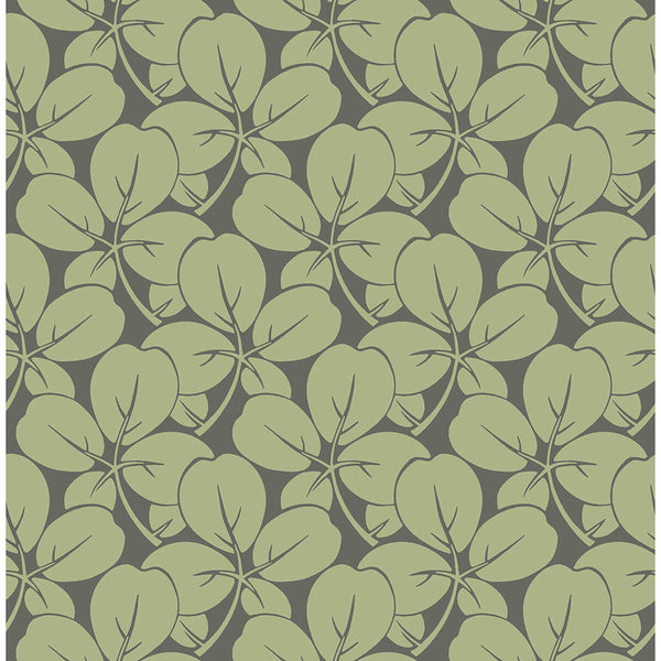 Robert - Green Residential Wallcovering | Jeffrey Stevens