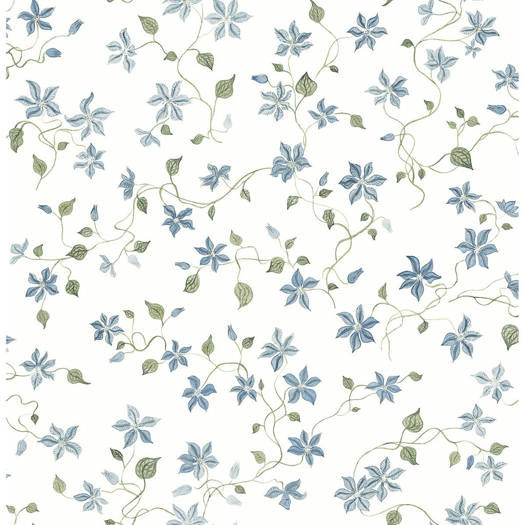 Betsy, Blue Heather