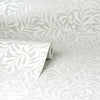 Salix, Silver