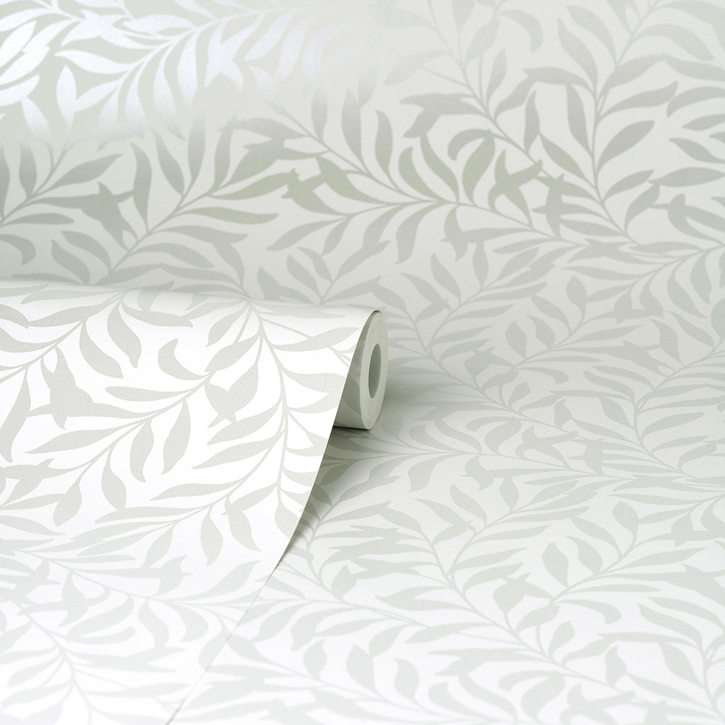 Salix, Silver