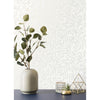 Salix, Silver