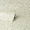 Salix, Sage
