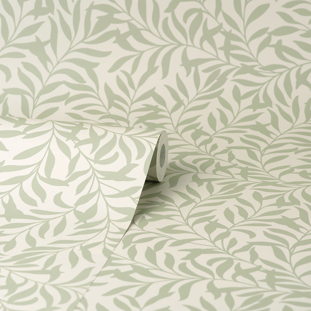 Salix, Sage