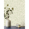 Salix, Sage