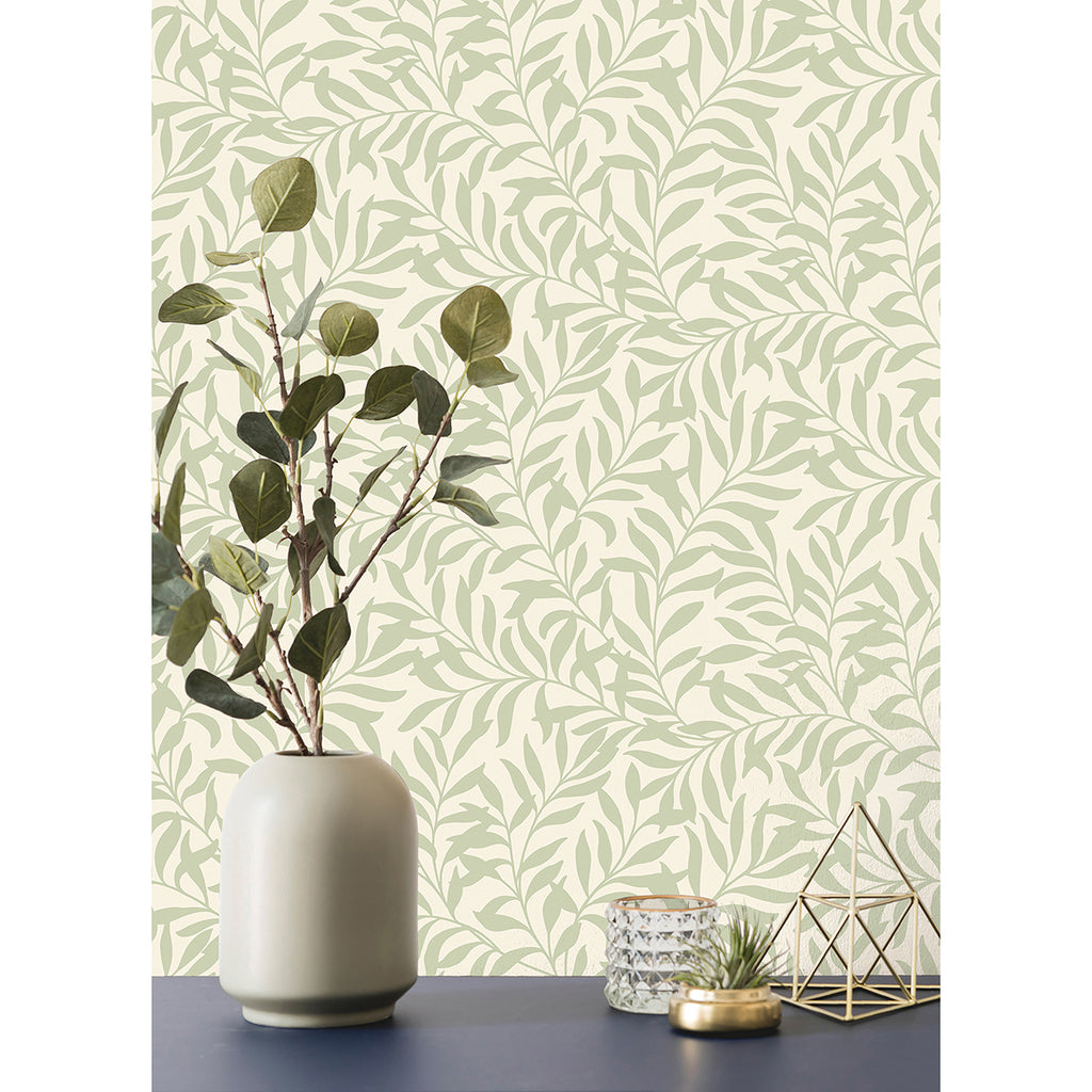 Salix, Sage