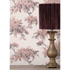 Ashdown, Pink