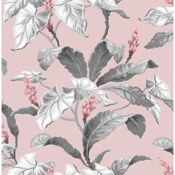 Meridian Parade, Pink Wallcoverings | Malibu Wallcovering