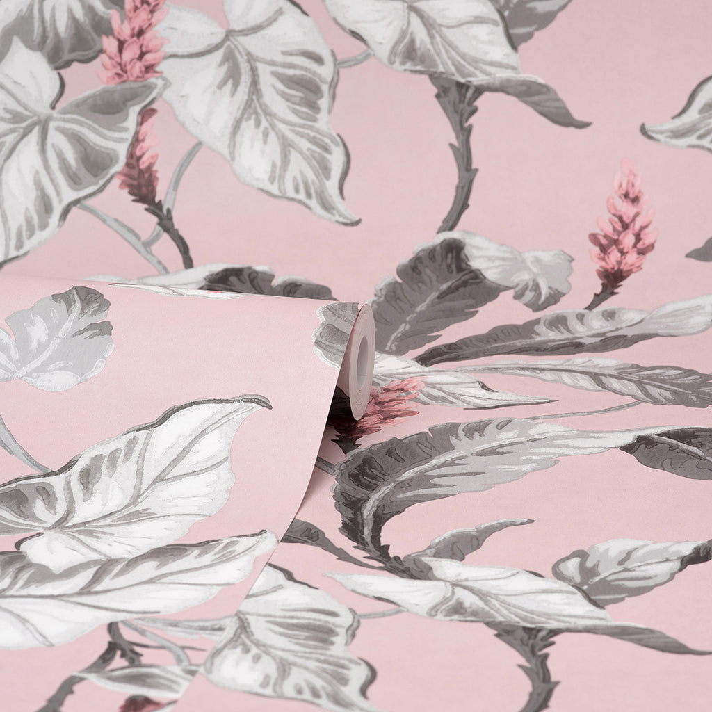 Meridian Parade, Pink