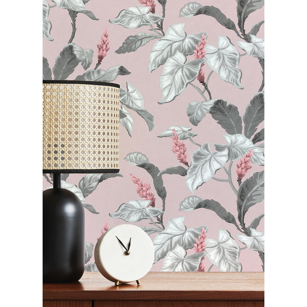 Meridian Parade, Pink