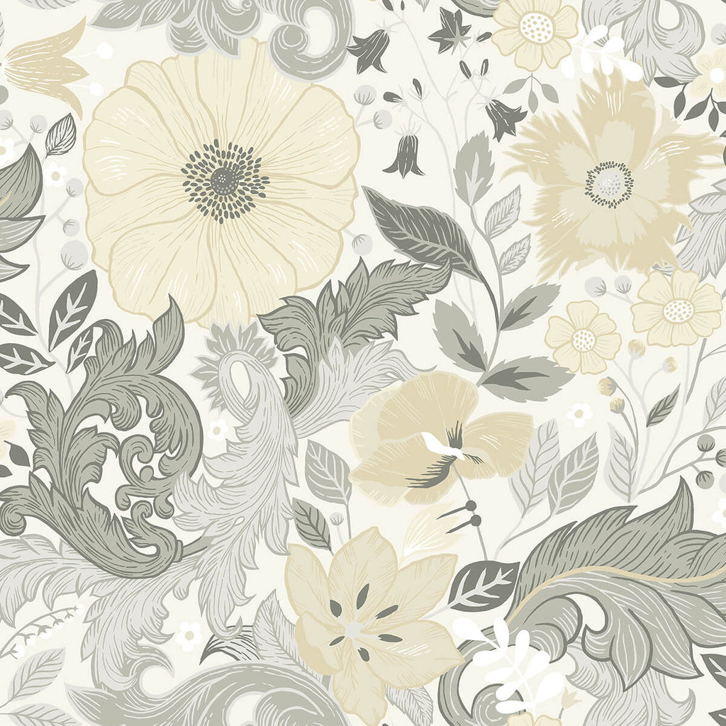 Wilma, Grey