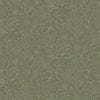 Wilma, Grey