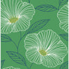 Mythic, Dove