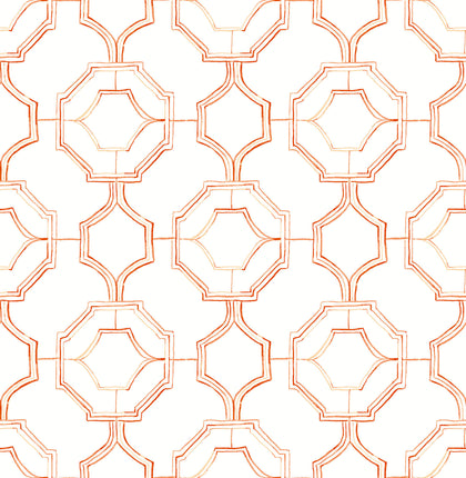 Gallina - Orange Residential Wallcovering | Jeffrey Stevens