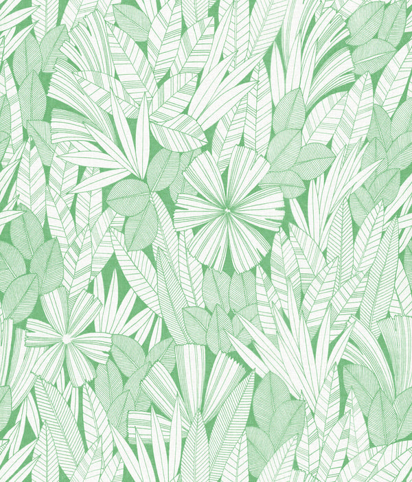 Bannon - Green Residential Wallcovering | Jeffrey Stevens