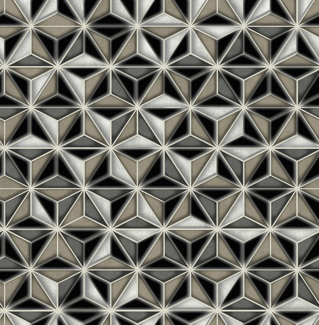 Einstein Geometric - Metallic Silver and Black Wallcovering | Malibu Wallpaper