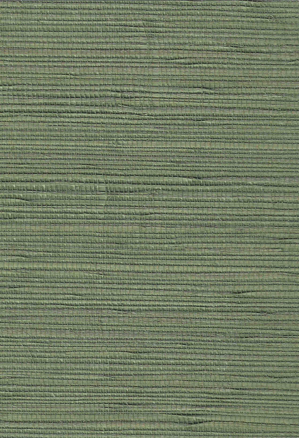 Lorcha Grasscloth Brushed Sage | Phillipe Romano
