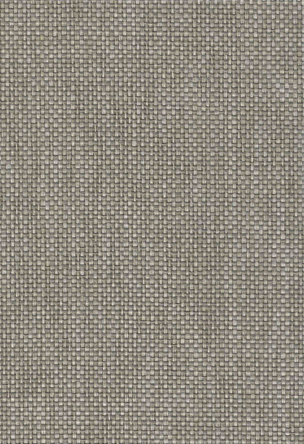 Belgica Paperweave Griege | Phillipe Romano