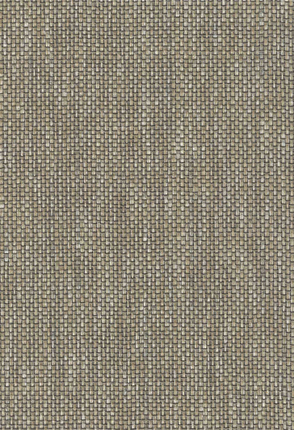 Belgica Paperweave Taupe | Phillipe Romano