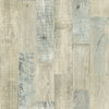 Chebacco, Taupe