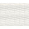 Gator, White