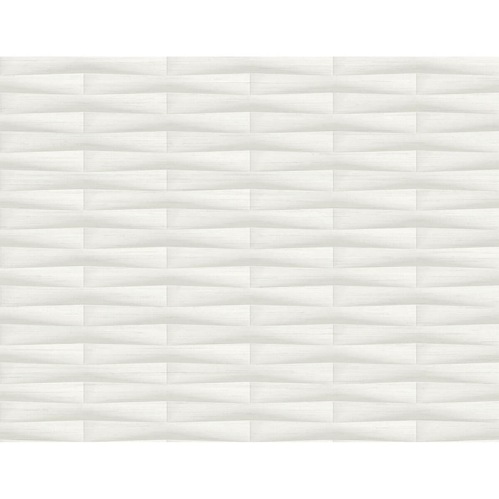 Gator, White