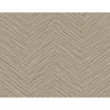 Apex, Light Brown