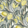 Palmier, Grey