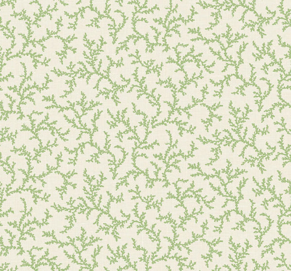 Estuary Anemone - Dune Vista | Malibu Wallcovering