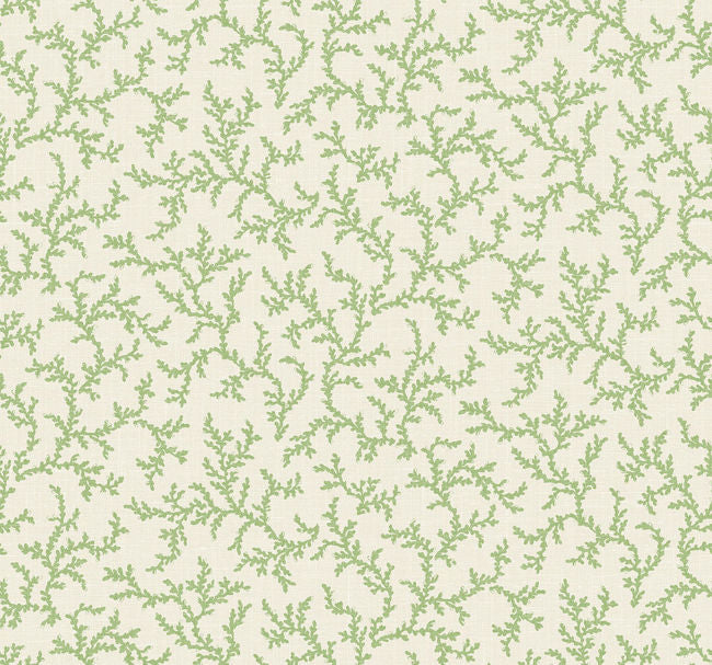 Corail - Corn Stalk Wallcovering | Malibu Wallpaper