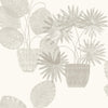 Aida, Light Grey