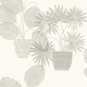 Aida, Light Grey