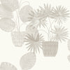 Aida, Light Grey