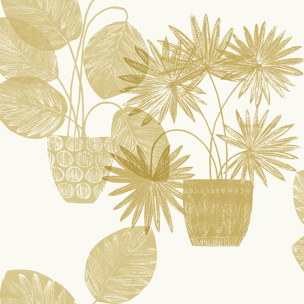 Aida, Beige Wallcoverings | Malibu Wallcovering